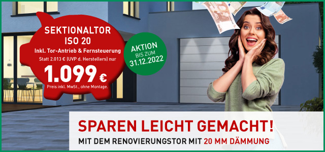Sektionaltor ISO 20 für 1.099 Euro